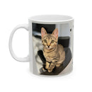 Purr-Fect Cat Mug – Cute Gift for Pet Lovers | Funny Cat Lover Mug – Great for Coffee and Tea Fans | Ceramic Cat Mug – Adorable Gift for Animal Lovers | Whimsical Cat Mug – Perfect for Cat Moms and Dads | Cat Coffee Cup – Fun and Charming Pet Lover Gift | Cute Cat Mug – Great for Birthdays and Holidays | Pet Lover Mug – Funny Feline Design for Daily Use | Cat Lover’s Ceramic Mug – Perfect for Home or Office | Cute Coffee Mug with Cat Design – Ideal Gift Idea | Purr-Fect Gift for Cat Lovers – Funny Ceramic M